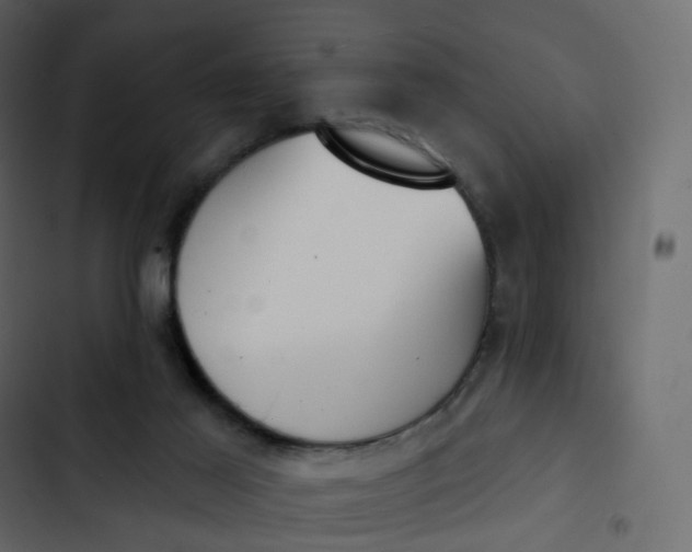 X0000102870021200809021458