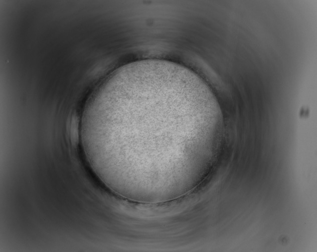 X0000102870022200809021458