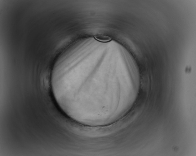 X0000102870023200809021458