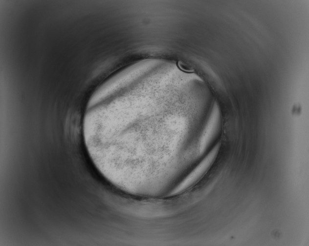 X0000102870024200809021458