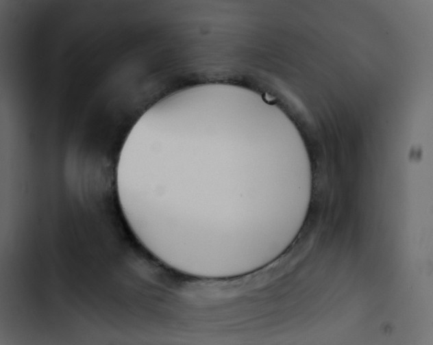 X0000102870025200809021458