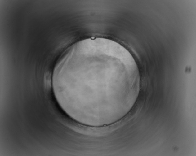 X0000102870027200809021458