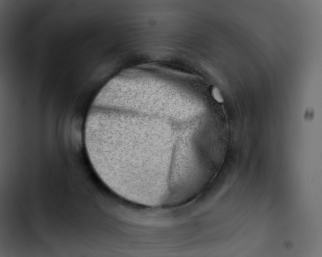 X0000102870028200809021458