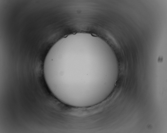 X0000102870029200809021458