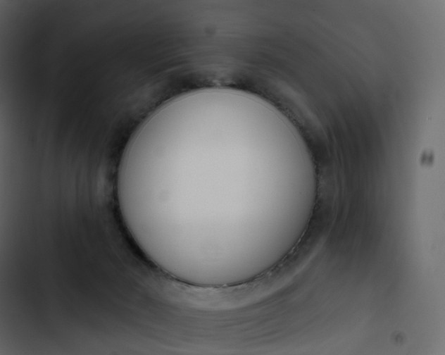 X0000102870030200809021458