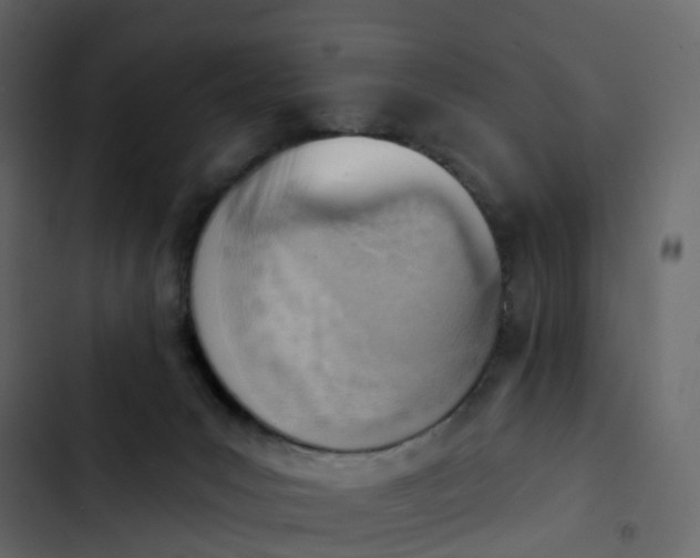 X0000102870031200809021458