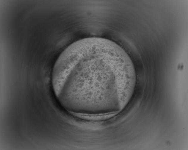 X0000102870032200809021458