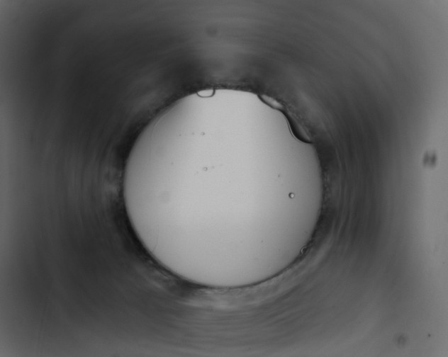 X0000102870033200809021458