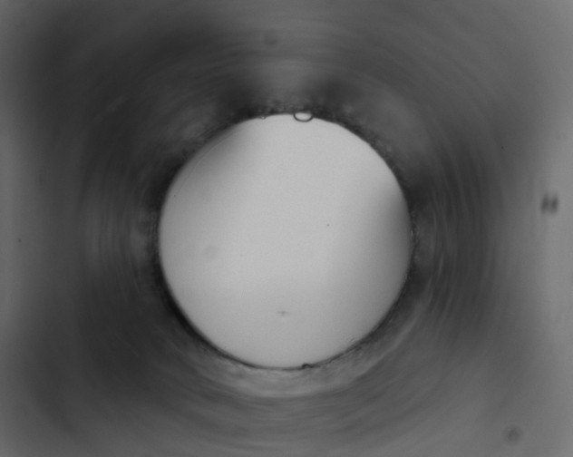 X0000102870034200809021458