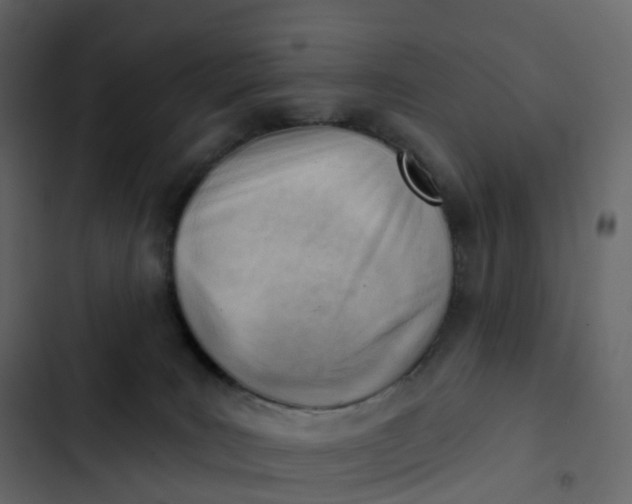 X0000102870035200809021458