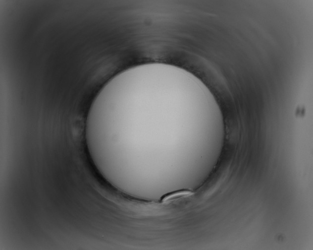 X0000102870036200809021458