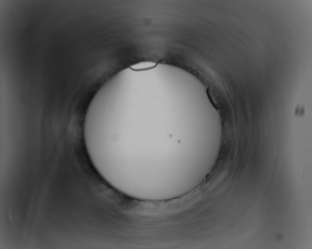 X0000102870037200809021458