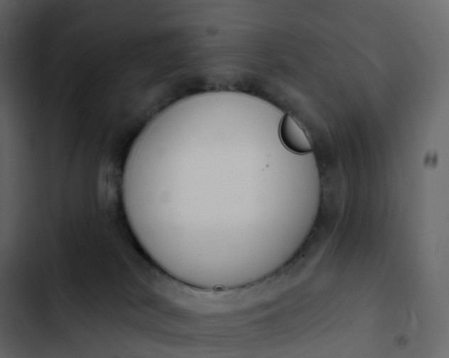 X0000102870038200809021458