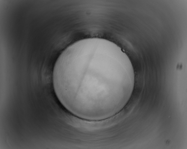 X0000102870039200809021458