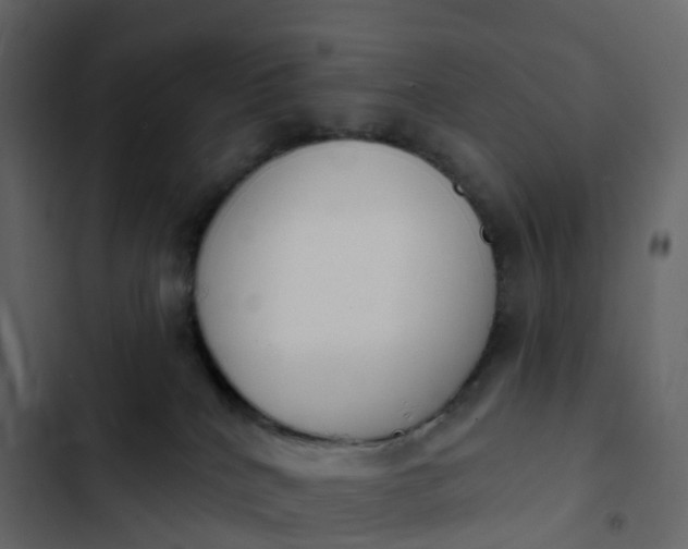 X0000102870040200809021458