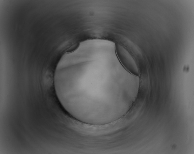 X0000102870043200809021458