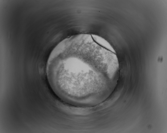 X0000102870044200809021458