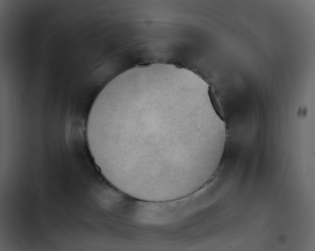 X0000102870045200809021458