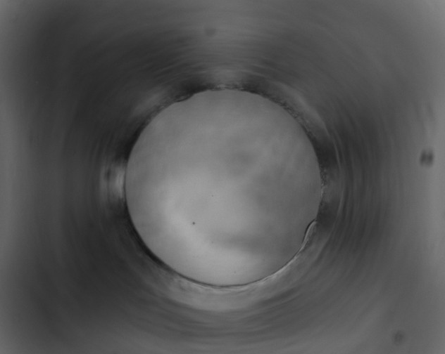 X0000102870047200809021458