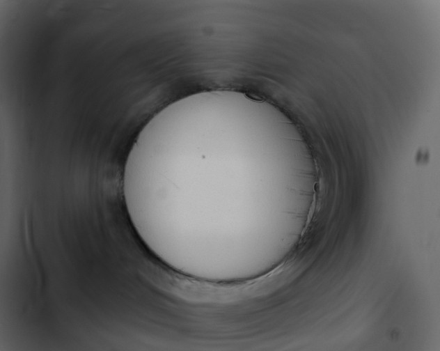 X0000102870048200809021458