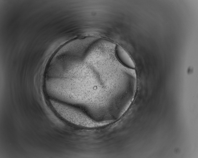 X0000102870049200809021457