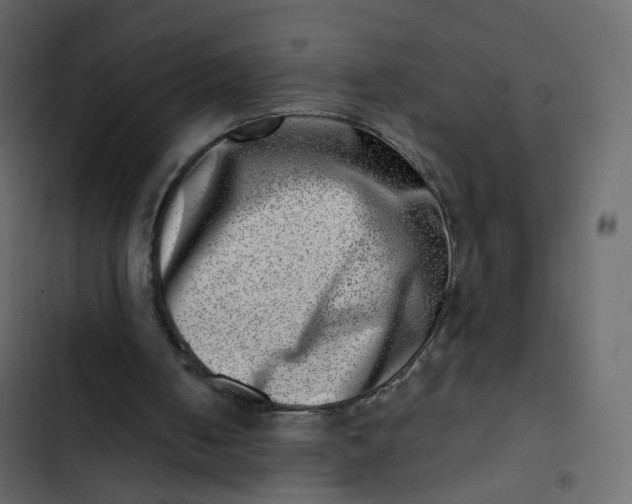 X0000102870050200809021457