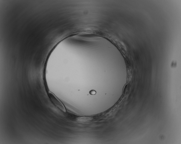 X0000102870051200809021457