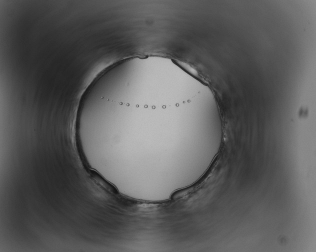 X0000102870052200809021457