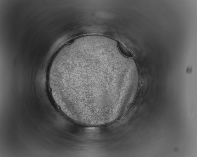 X0000102870053200809021457