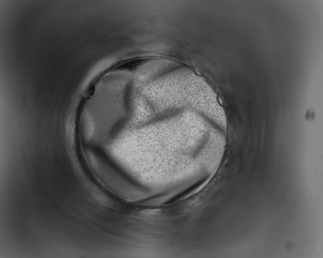 X0000102870054200809021457