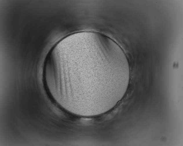 X0000102870055200809021457