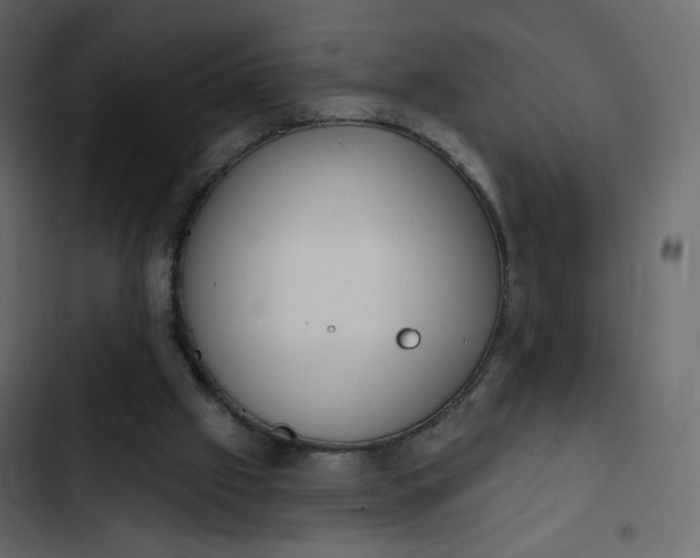 X0000102870057200809021457