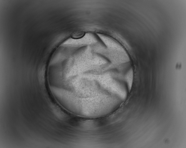 X0000102870058200809021457