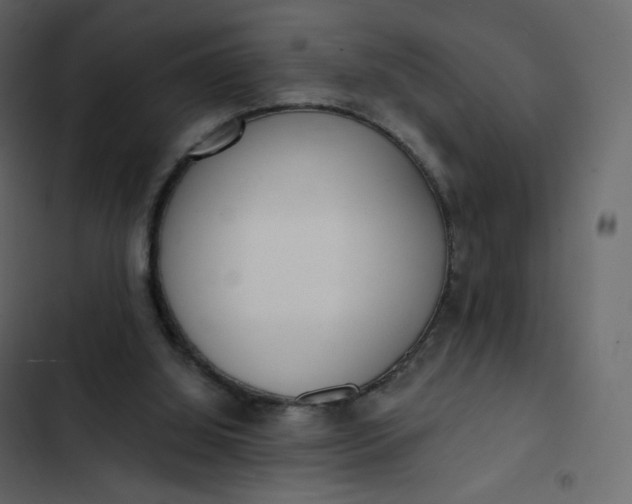 X0000102870060200809021457