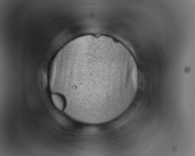 X0000102870061200809021457