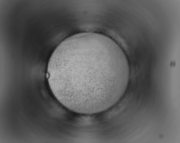 X0000102870065200809021457