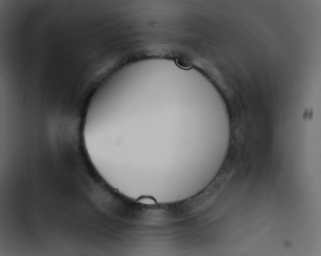 X0000102870066200809021457