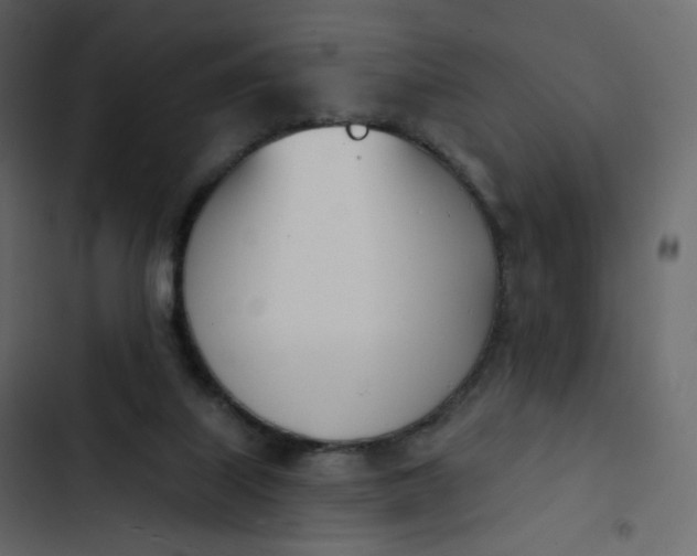 X0000102870067200809021457