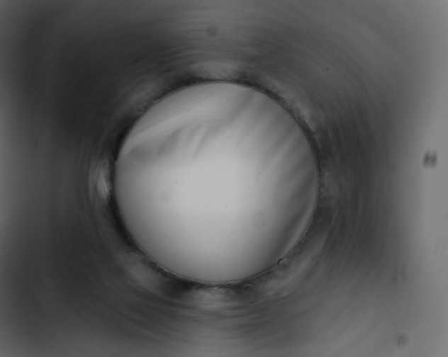 X0000102870069200809021457