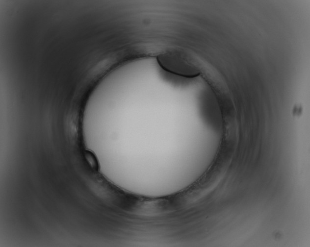 X0000102870072200809021457