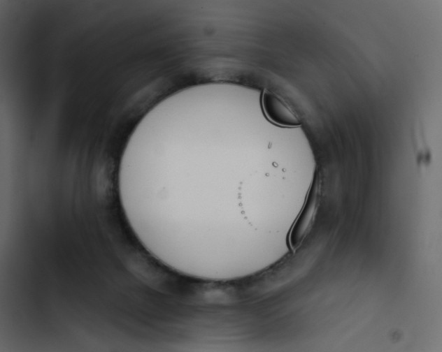 X0000102870073200809021457