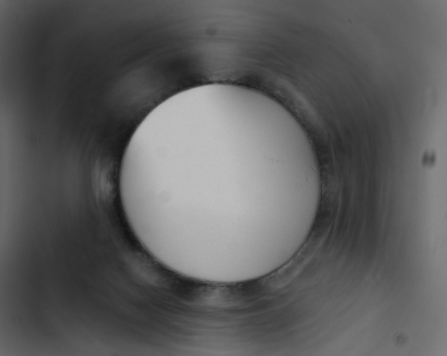 X0000102870074200809021458