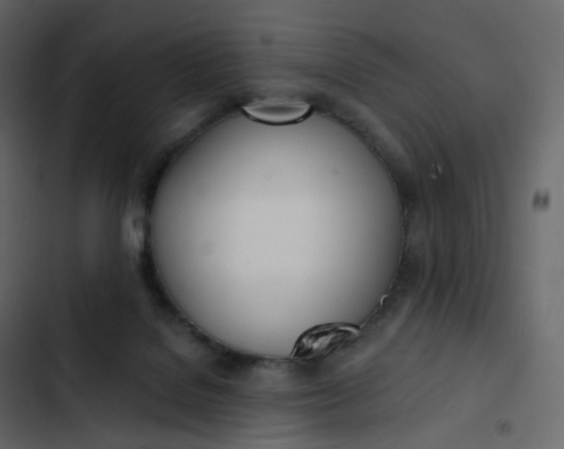 X0000102870076200809021458