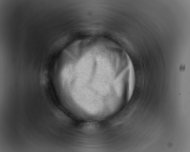 X0000102870077200809021458