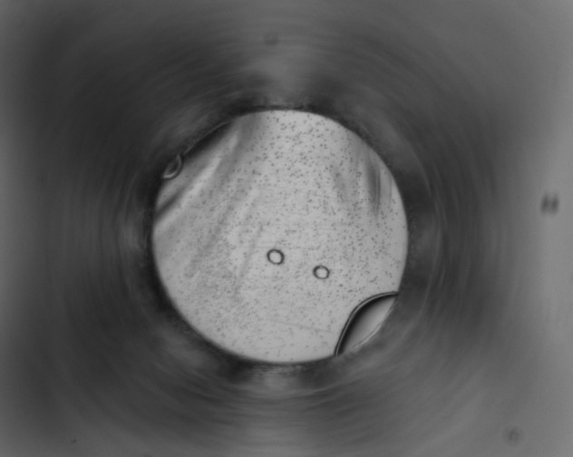 X0000102870078200809021458