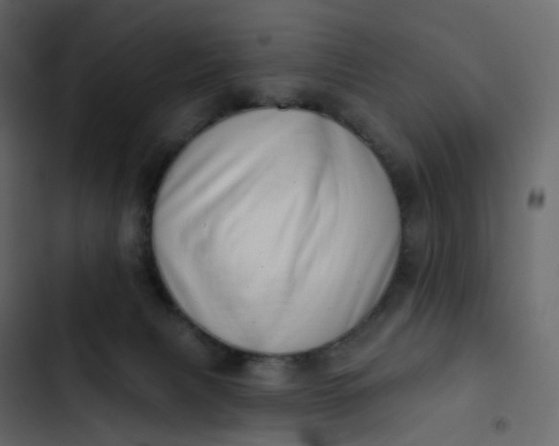 X0000102870079200809021458