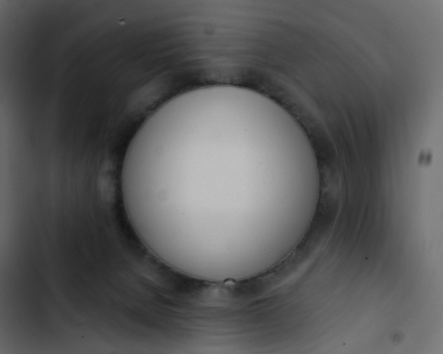 X0000102870080200809021458