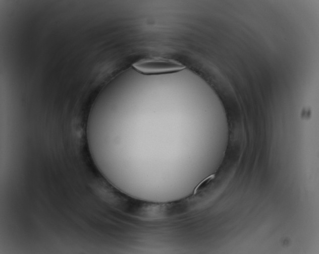 X0000102870084200809021458