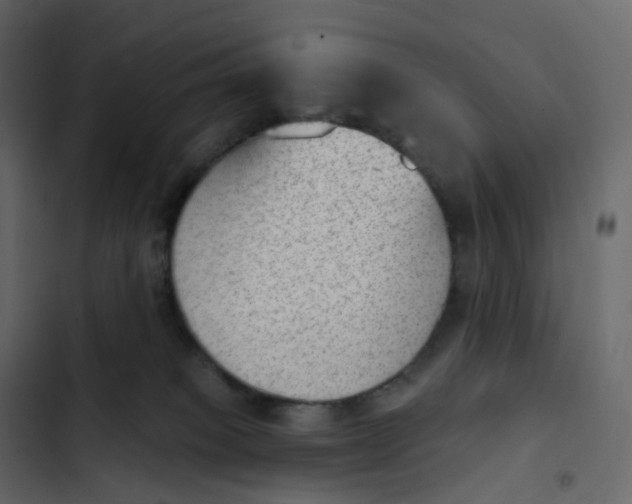 X0000102870085200809021458