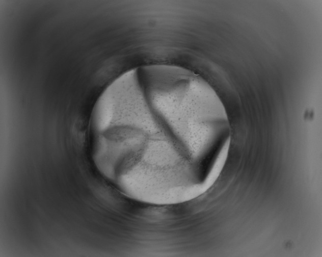 X0000102870086200809021458